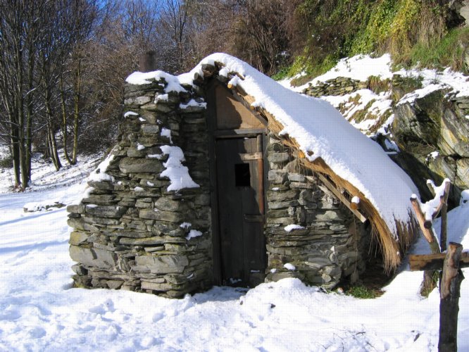 ACS in snow DOC Wakatipu